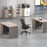 Shine-B Wooden Office Small Manager Desk with Storage Cabinet